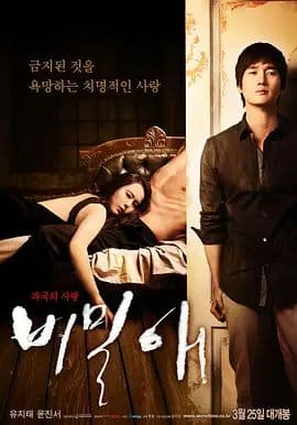 秘密爱海报