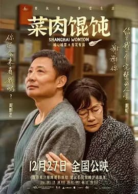 菜肉馄饨 普通话版海报
