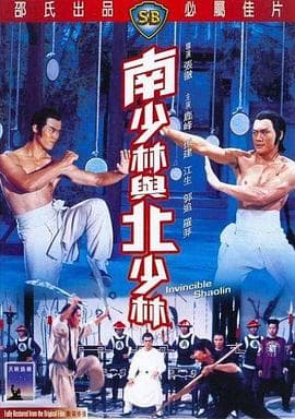 南少林与北少林海报